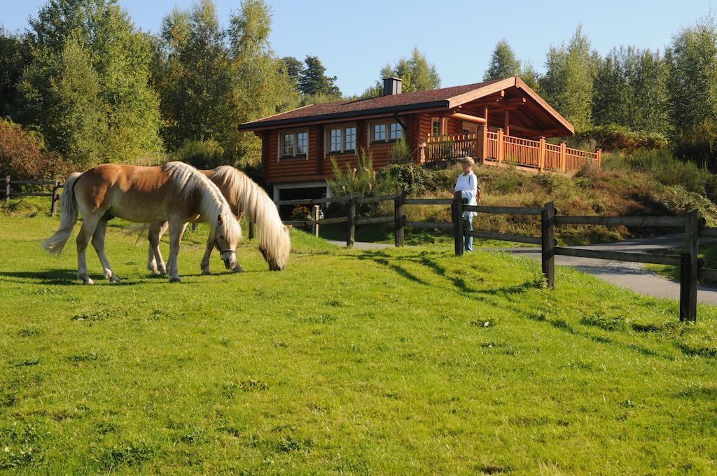 Hotelanlage Country Lodge Arnsberg Bagian luar foto