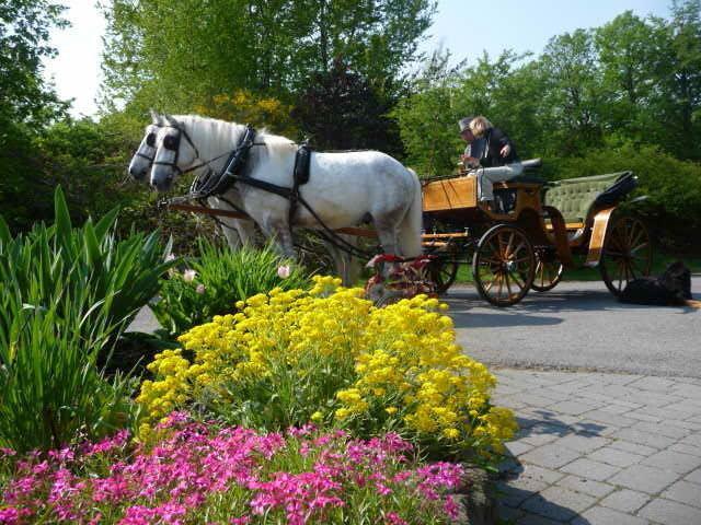 Hotelanlage Country Lodge Arnsberg Bagian luar foto